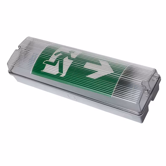 CB CE wasserdichte, batteriebetriebene, wiederaufladbare Schott-Notausgangsleuchte